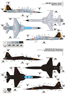 Model kit 1/72 F-5F'Tiger II' (Dream Model) 